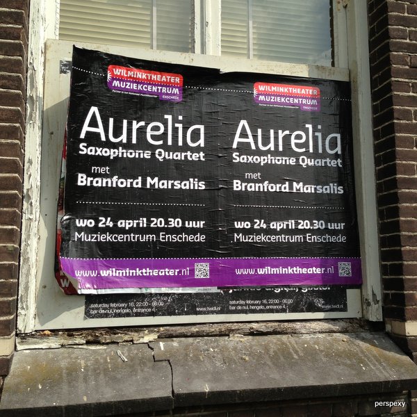 Aurelia-Branford