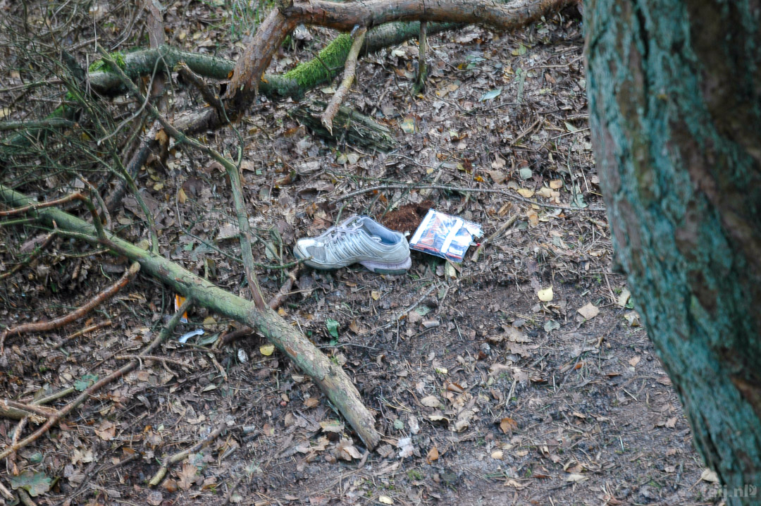 Forest CSI