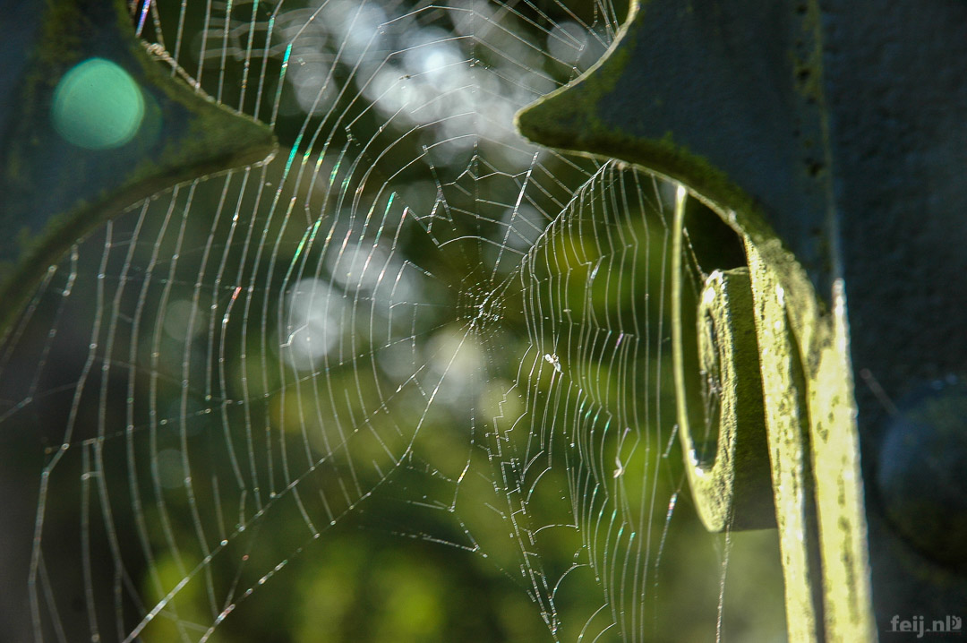 Herfst@Twickel by Tom