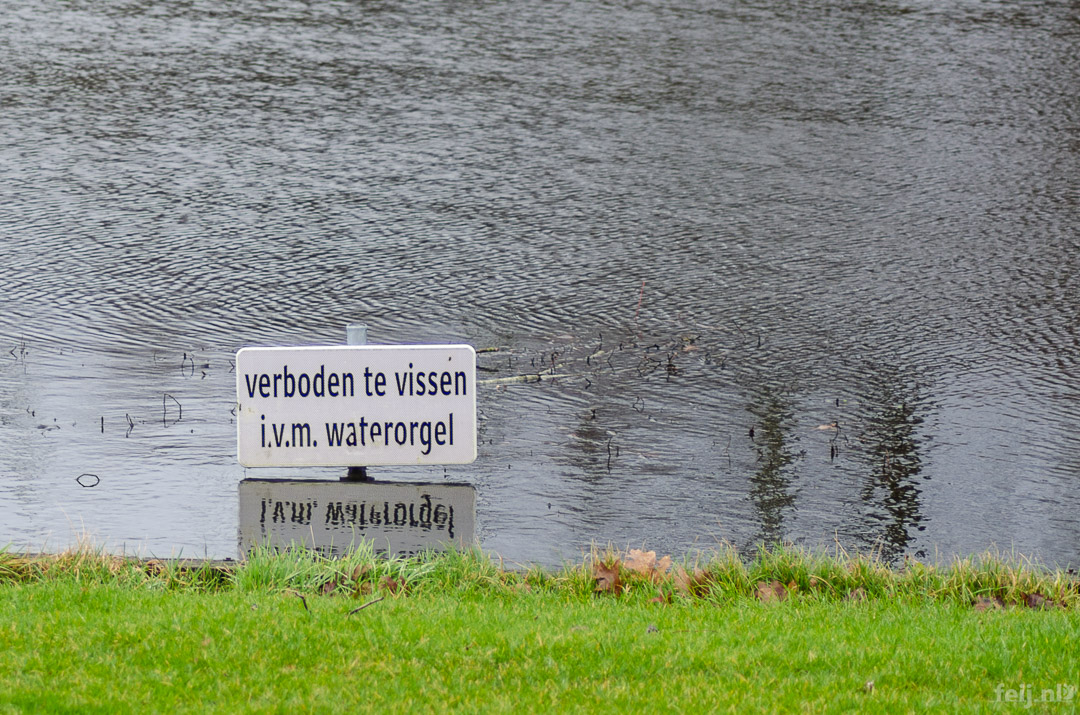 Verboden te vissen i.v.m. waterorgel